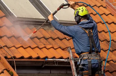 Démoussage et hydrofuge de toiture à Fillinges